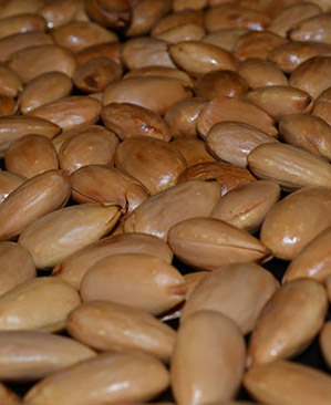 Mandorle pelate tostate